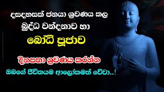 බුද්ධ වන්දනාව සහ බෝධි පූජාව | buddha wandanawa | Bodhi poojawa  #bodhipooja  #bodhi