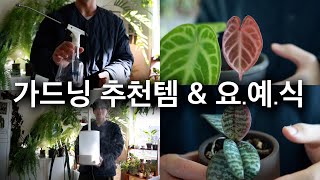 삶의 질을 높여주는, 한 해 동안 잘 쓴 가드닝 필수템 추천 ㅣ 요즘 예쁜 식물들 #6