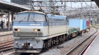 【ジョイント音最高！】JR貨物EF66形100番台124号機＋コキ23B（両）が大宮駅10番線を通過するシーン（4093レ・吹A9・コンテナ輸送）2024.6.22