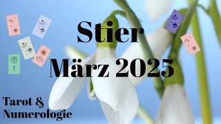 Stier ♉- Sonne, Mond und Aszendent: Dies sind Deine Tendenzen und Impulse für März 2025