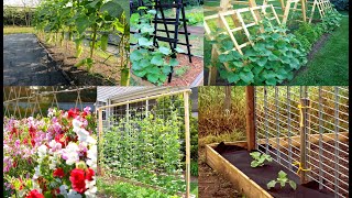 300 projects supports for climbing vegetables. trellises. Methods of tying up vegetables vertical