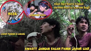 #anakalam Awas!!! jangan salah cari jamur liar, Berburu tupai malah nemu jamur bergerombolan