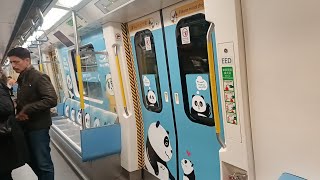 港鐵南港島綫 S Train 金鐘至海怡半島 (大熊貓主題列車)