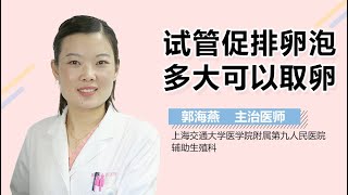 试管促排卵泡多大可以取卵 有来医生