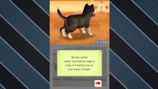 Let's Play Nintendogs: Episode 1: Bringing Home The New Puppy!