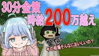 【ドラクエ10金策動画】30分金策❣ちょっとの時間で金策する！時給200万G❣虹オーブ編