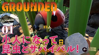 【Grounded】#01　小人になって庭をサバイバル!!【小人サバイバル】