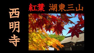 Autumn leaf viewing in Saimyouji Temple (Shiga, Japan)