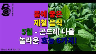 몸에 좋은 제철 음식 5월 - 곤드레 놀라운 효능 6가지!