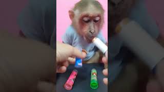 Monkey Review Green Lipstick Candy💋@ReviewAnimal999