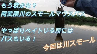 【釣りVLOG#13】９月阿武隈川のスモールマウス　秋めいてきました。今回のポイントはベイト！