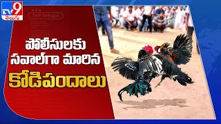 Konaseema :  పోలీసులకు సవాల్‌గా మారిన కోడిపందాలు - TV9