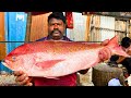 KASIMEDU 🔥 SPEED SELVAM | BIG RED SNAPPER FISH CUTTING VIDEO | IN KASIMEDU | FF CUTTING 🔪