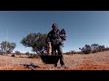 gangs of kalahari episode 3 of kalahari meerkats wild things