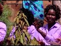 UTUKUFU-ST PATRICK CATHOLIC CHOIR