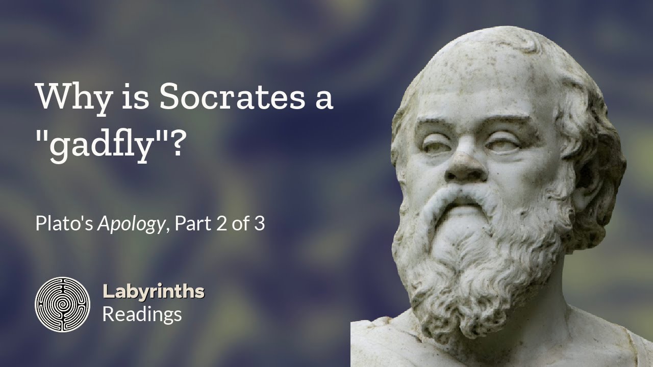 Why Is Socrates A "gadfly"? (Apology, Part 2) - YouTube