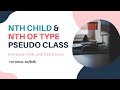 CSS | nth child & nth of type pseudo class (Tutorial 65)