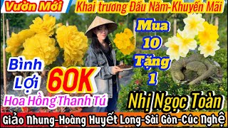 31/01☎️ 0384938983☎️🌴Mai giống giá rẻ🌴chỉ với 60k-giảo siêu nụ-siêu bông bình lợi-nhị Ngọc toàn