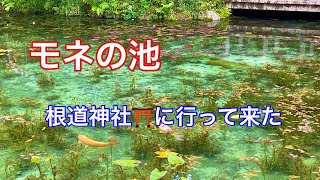 【モネの池】岐阜県関市板取にある根道神社⛩に行って来ました