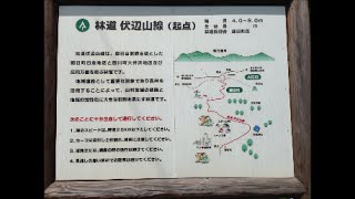 林道伏辺山線（山形県朝日町～大江町）