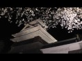 【上山城と桜】上山市