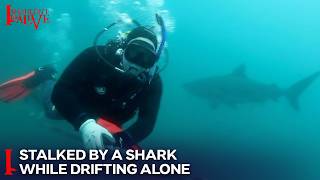 I Shouldn't be Alive | Season 5 Episode 15 - A Diver's Worst Nightmare