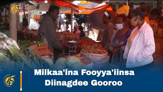 Milkaa'ina Fooyya'iinsa Diinagdee Gooroo