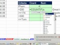 Office 2010 Class #24: Excel Functions COUNTIF & SUMIF Count and Add with one Condition (Criteria)