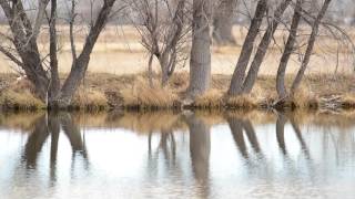 Inside Boulder News - Dec. 16, 2016