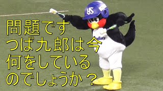 つば九郎 ファンを悩ます東京音頭　今日は何をしているんだろう．．．