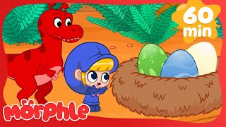 Cute Baby Dinosaurs | Morphle's Family | My Magic Pet Morphle | Kids Cartoons