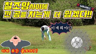 러프에 공이 들어가면 절대 꺼낼수 없다!....[필리핀클락.뉴아시아CC]