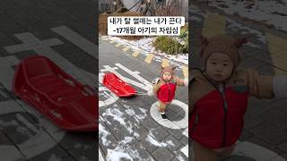 자기가 탈 썰매 자기가 직접 끄는 17개월 아기 #귀여운아이 #귀여운아기 #babyshorts #아기쇼츠