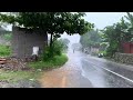 heavy rain big thunder in village red soil extra awesome u0026 rain sounds for sleep study