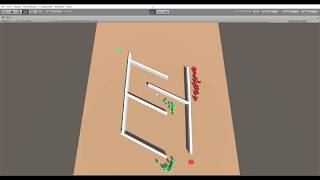 Crowd Simulations: Multi-Path