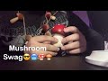 Mushroom Things ASMR