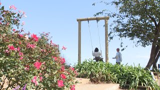 熱海市の観光庭園で秋のバラが見ごろ（静岡県）