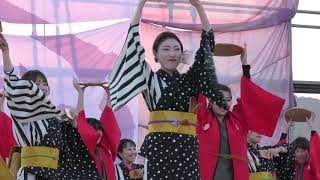 えひめYOSAKOI祭り　おきゃく屋の皆さんの素敵な演舞