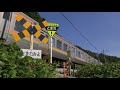 夏だ臨時だ 初夏の上越線 jr joetsu line in the early summer