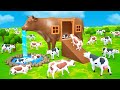 Giant Cow Mud House Farm - Cow Videos | Cows Farm 3D Animated Cartoon Videos | Funny Animals 2022