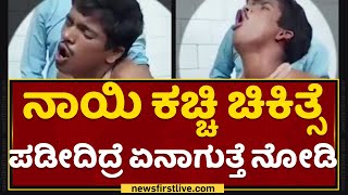 Dog Bite : ನಾಯಿ ಕಚ್ಚಿ ಚಿಕಿತ್ಸೆ ಪಡಿದಿದ್ರೆ ಏನಾಗುತ್ತೆ ನೋಡಿ | Rabies | @newsfirstkannada