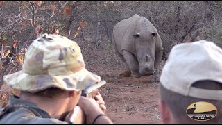 Dangerous Game Hunt in South Africa (Full  Video)  - Sharemyhunt.com