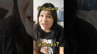 ม้านิลมังกรตัวสีอะไร? #สินสมุทร #ม้านิลมังกร #เกาะแก้วพิสดาร #ดราก้อนบอล