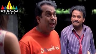 Krishna Movie Venumadhav and Brahmanandam Comedy | Ravi Teja, Trisha | Sri Balaji Video