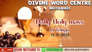 Rev.Fr.Anthony SVD 15-01-2025 | Holy Mass in Telugu | దివ్యవాక్కు కేంద్రం, ముత్తంగి |.mov