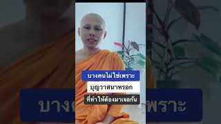 แต่สำหรับบางคน มันเป็นเพราะเวรกรรมต่างห่าง #ธรรมะเป็นที่พึ่ง #นาถธมฺโม #เชื่อหลวงพี่ #pjedsadachai