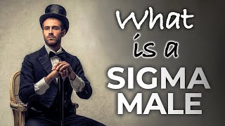 What is a Sigma Male? How to Spot the Sigma Males?