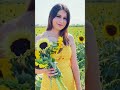 sunflower farm bts .. photography shoot