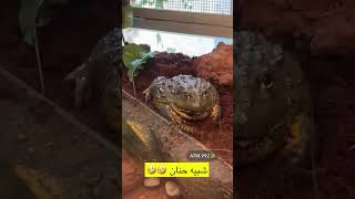 اثير الحلوه في القريه المائيه 😍 اثير الحلوه و حنان