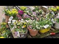 garden happiness garden center walk part1